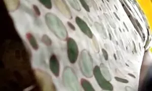 किशोर सेक्सी वीडियो हिंदी मूवी एचडी वेब कैमरा के सामने पाला