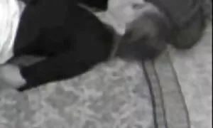 कैमरा और बकवास के सामने बैठे पति और एक्स एक्स एक्स वीडियो एचडी मूवी पत्नी
