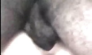 अश्लील वीडियो गुदा सेक्सी हिंदी वीडियो एचडी मूवी एमेच्योर के साथ