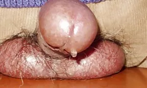 दो किसानों के साथ कसकर सेक्सी मूवी एचडी 2018 कमबख्त ब्रू सेक्सी
